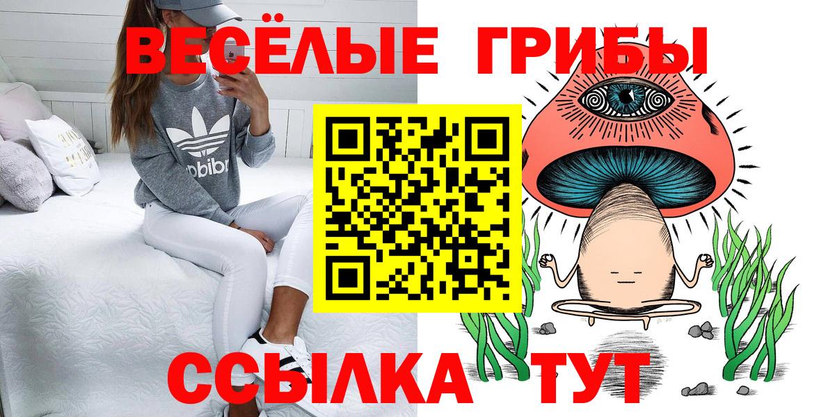 Лабинск  Галлюциногенные грибы GOLDEN TEACHER  как найти закладки  Галлюциногенные грибы Psilocybine cubensis  Вход с VPN 