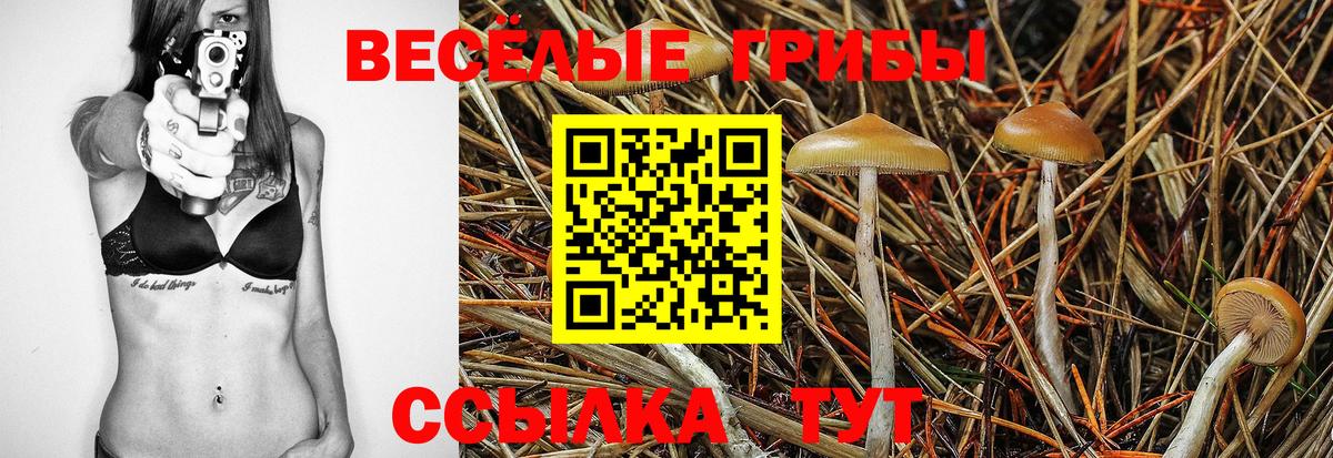 Псилоцибиновые грибы мицелий Лабинск